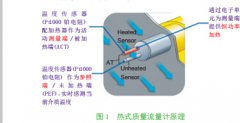 热式气体质量流量计在垃圾焚烧炉风量测量中的应用